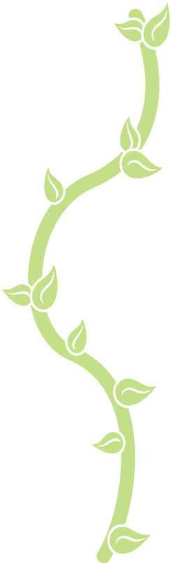 vector image of a green branch